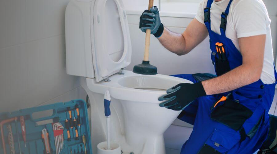 Local annual plumbing maintenance in Bellvue, CO